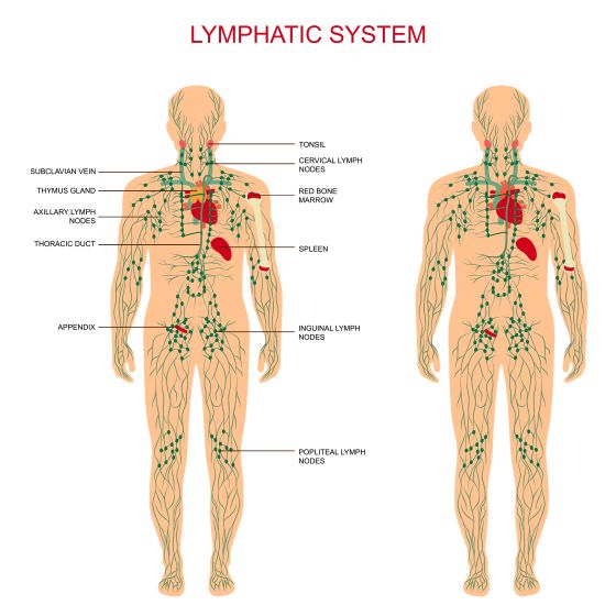 Lymphknoten frau angeschwollene leiste Lymphome: Gefährliche